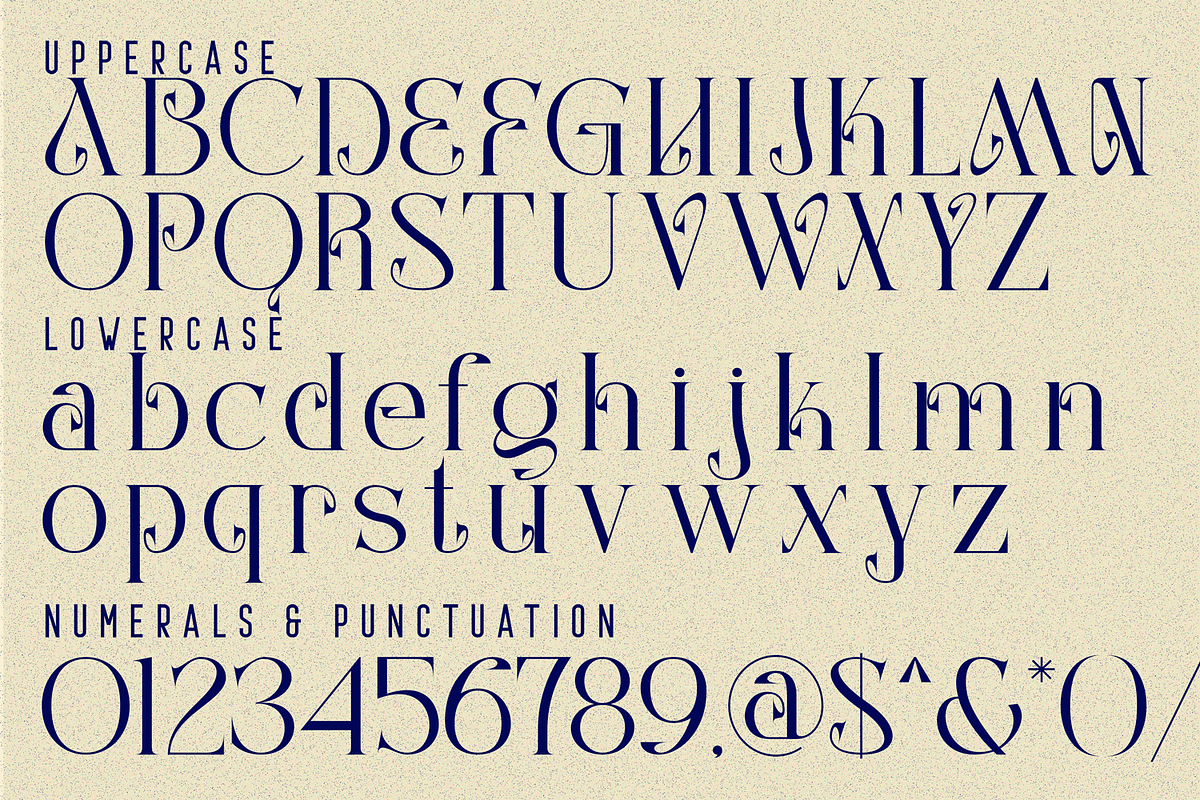 Classical Material CalligraphicSerif, a Serif Font by 177Studio (Photo 7 of 8)