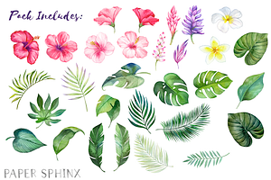 Watercolor Tropical Flowers Clipart