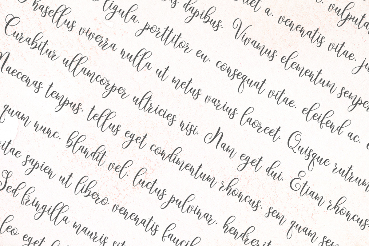 Ameline Script, a Script Font by Amarlettering (Photo 4 of 6)