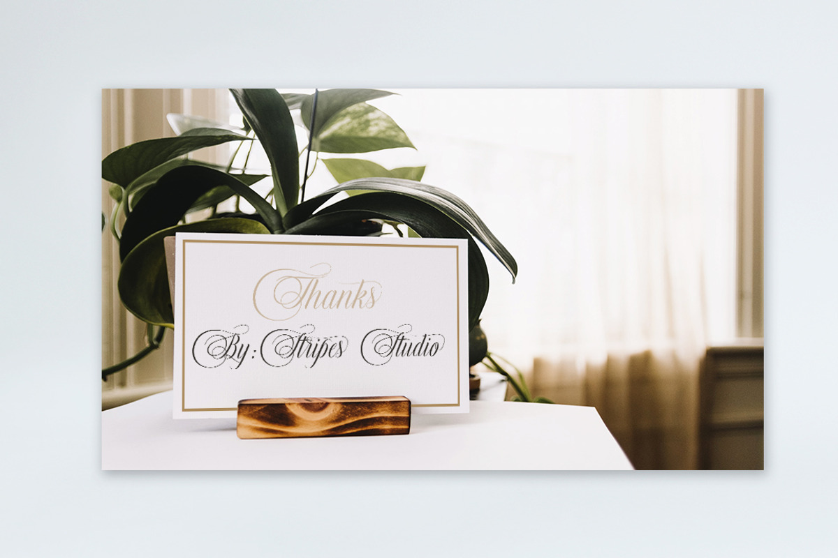 Murchison Script, a Script Font by Stripes Studio (Photo 9 of 9)