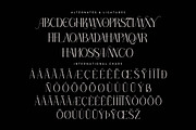 Thorco New Display Serif Font, a Serif Font by Storytype Studio (Thumbnail 13 of 15)
