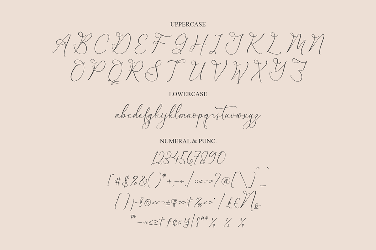 Garbina Sarleta Beauty Calligraphy, a Script Font by Storytype Studio (Photo 12 of 14)