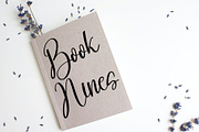 Holiday, a Handwritten Font by FreshTypeINK (Thumbnail 5 of 8)