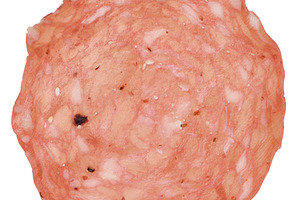 Round slice of salami sausage with speckles of fat and peppercor, a Food & Drink Photo by ndanko