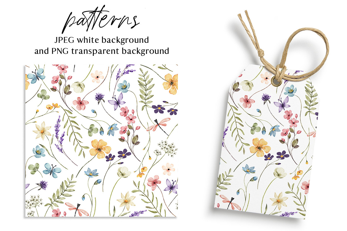 Wild flowers, butterflies, dragonfly, a Decorative Illustration by Larisa Maslova (Photo 10 of 11)