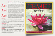 Temet Nosce - Serif font family, a Serif Font by Artistic & Unique (Thumbnail 9 of 15)