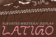 LATIGO by Abby Leighton, a Script Font by Abby Leighton Studio (Thumbnail 1 of 3)