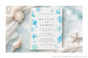 Blue Watercolor Seashell Collection, an Object Graphic by Sawango Designs (Thumbnail 4 of 5)