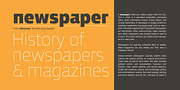 Dalle, a Sans Serif Font by Stawix (Thumbnail 3 of 9)