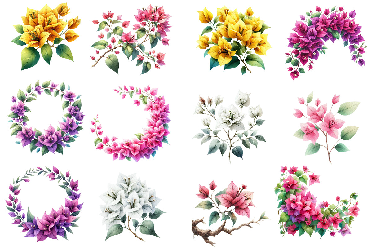 Bougainvillea Flower Clipart Bundle, an Illustration by Designworld (Photo 4 of 5)