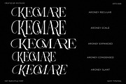 Aroney Family | 5 Style Fonts, a Serif Font by IM Studio (Thumbnail 11 of 12)