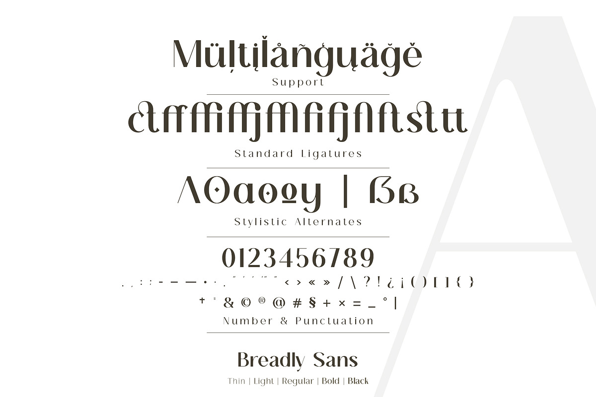 Breadley Sans - Modern Sans Serif, a Sans Serif Font by Ardyanatypes (Photo 11 of 12)