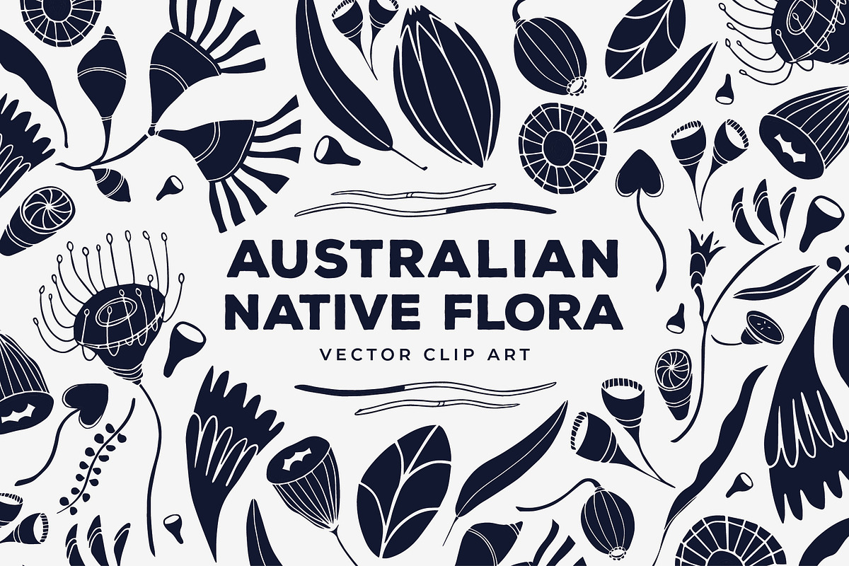 Australian Botanicals 4 in 1 Bundle, a Decorative Illustration by rouxsupplyco (Photo 3 of 25)
