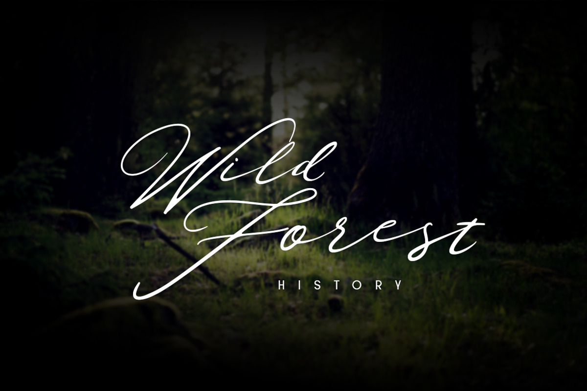 the faino typeface preview 7