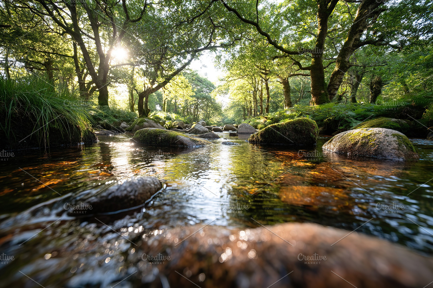 Forest stream flowing over smooth rocks in sunlight amongst lush greenery, a Photo by AlyaAnd