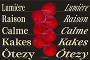 ZT Otez Retro Serif - 90 fonts, a Serif Font by zelow type (Thumbnail 10 of 15)
