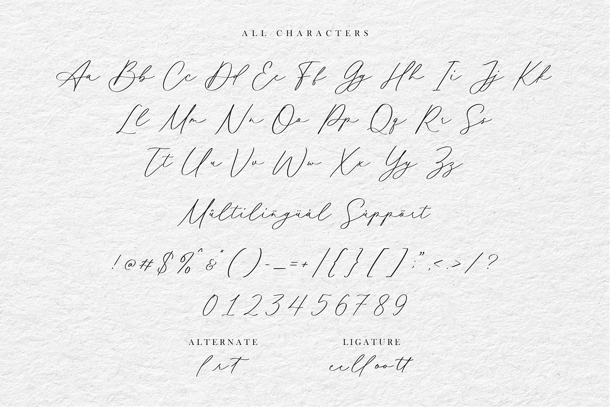 Mathilda Calligraphy, a Handwritten Font by Allouse Studio (Photo 9 of 10)