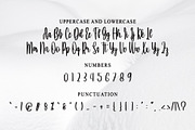 Darlings, a Handwritten Font by FreshTypeINK (Thumbnail 3 of 6)
