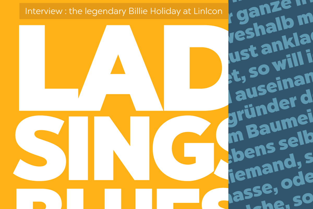 Chronica Pro Family (18 fonts) preview 4