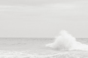 Milk Lightroom Preset, a Preset Add-On by The Denizen Co. (Thumbnail 5 of 6)