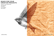 Natural Crumpled Kraft Paper Texture, a Texture Graphic by Ary_ngeblur (Thumbnail 5 of 7)