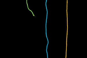 Colorful String Abstract, an Abstract Photo by THP Creative
