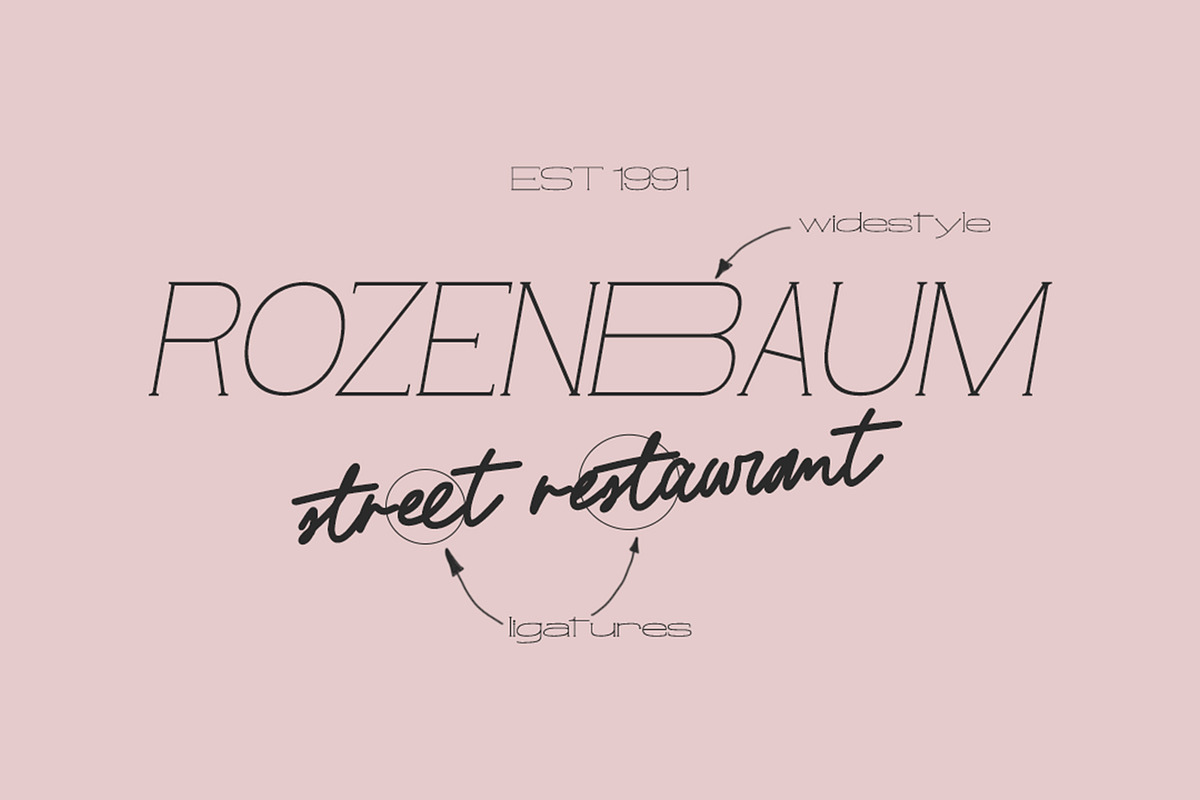 Luxury Signature font Duo, a Script Font by Alexander Tiunov (Photo 2 of 7)