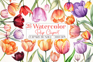 Watercolor Tulip Clipart, an Illustration by Libby Wishes