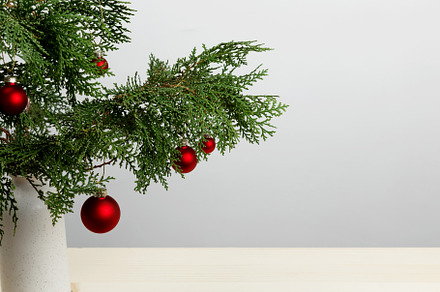 Vase with thuja branches and hanging Christmas ornaments creating a festive dis, a Photo by matucha