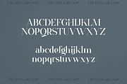 VSOP - elegant serif, 70 fonts, a Serif Font by VP Fonts (Thumbnail 12 of 21)