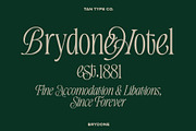 TAN-BRYDONE, a Font by TanType (Thumbnail 16 of 16)