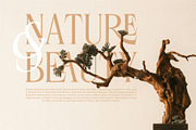 Rosevine – Standard Version, a Serif Font by Hakara Type (Thumbnail 4 of 15)