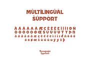 Antagonist Casual Bold Serif, a Serif Font by Haksen (Thumbnail 10 of 15)