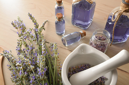 Homemade preparation of natural lavender essence with tools deta, a Health & Medical Photo by Davizro's Market
