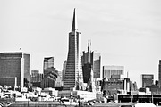 San Francisco Stock Bundle, an Architecture Photo by r.r.palacios (Thumbnail 11 of 11)