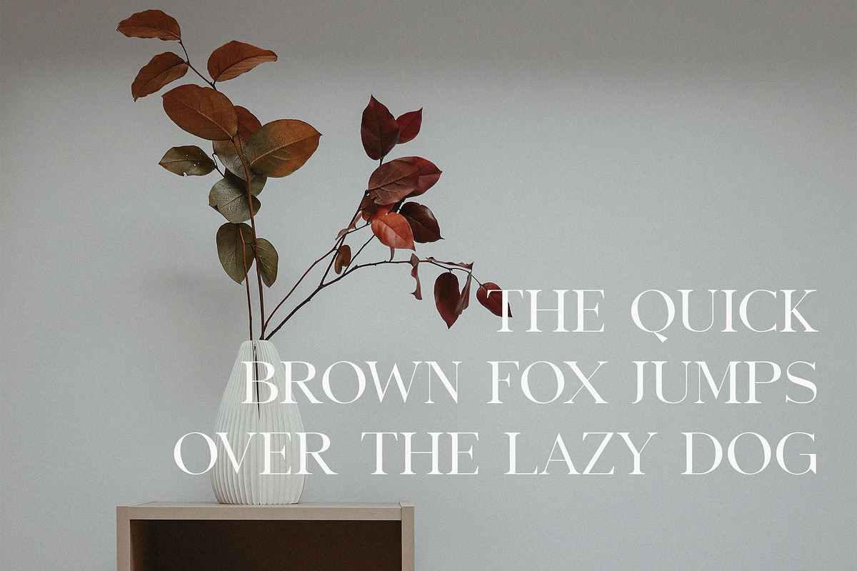 Benfika - Modern Stylish Serif, a Serif Font by TypeLogue (Photo 2 of 5)