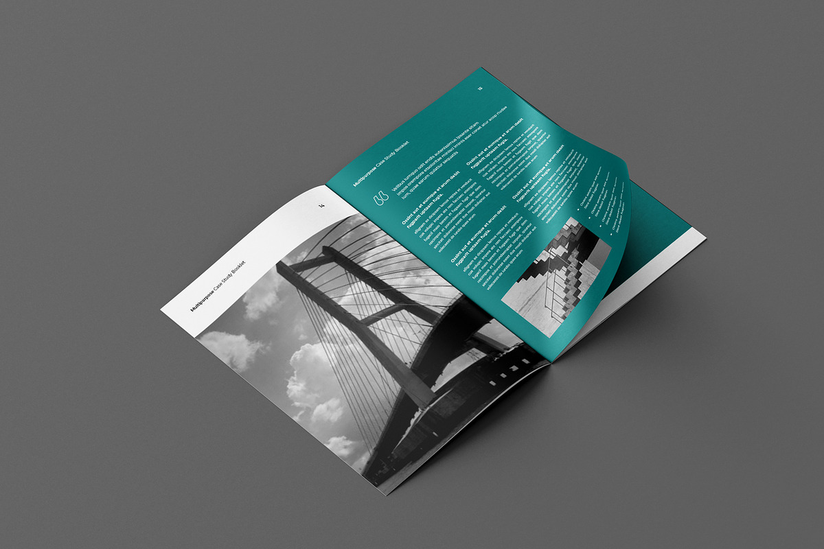 Case Study Booklet Template, a Brochure Template by Seeing-art (Photo 8 of 11)