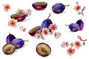 Set of watercolor fruits and flowers, a Food Illustration by DariKa (Thumbnail 2 of 4)