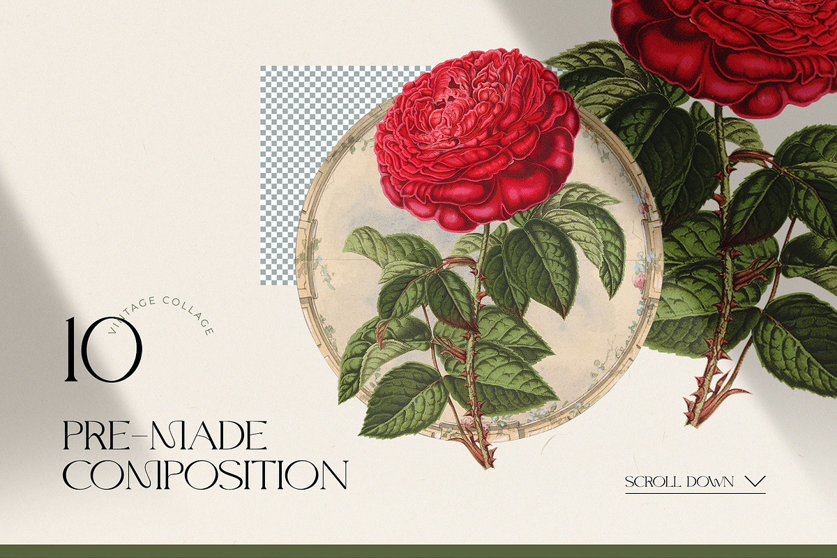 Vintage Botanica | Collage Creator, an Object Graphic by Leleka.Store (Photo 9 of 15)