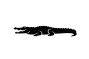 Crocodile Alligator Vector Bundle, an Illustration by jahid234 (Thumbnail 27 of 51)
