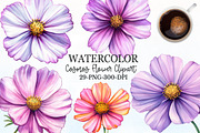 Cosmos Flower Bloom Clipart, an Illustration by Rose Art (Thumbnail 1 of 7)