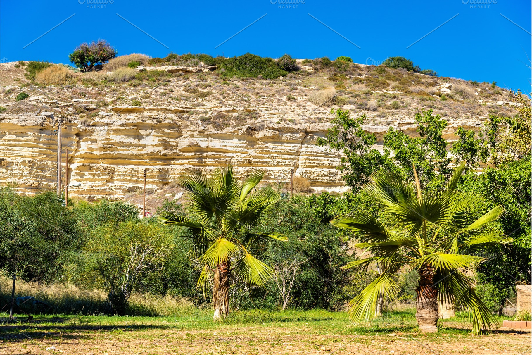 Trees at the foot of the Kourion Mount - Cyprus, a Nature Photo by Leonid Andronov