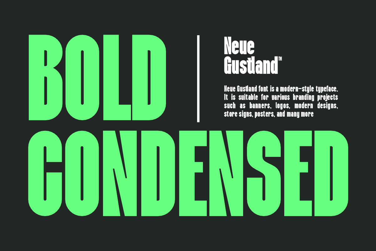 Neue Gustland Modern Condensed Font, a Sans Serif Font by QR Design Studio (Photo 2 of 13)