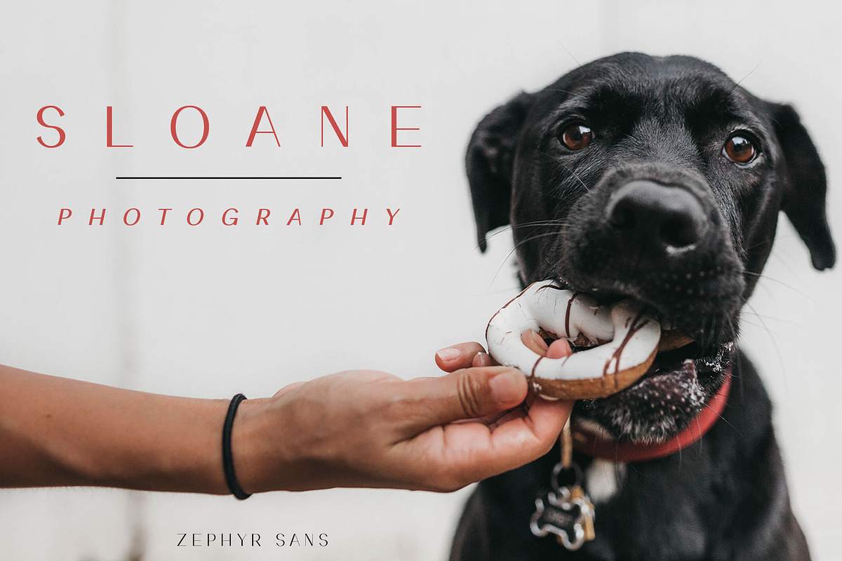 ZEPHYR Sans Serif Font preview 8