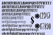 ALLETHA Family, a Serif Font by Canden Meutuah (Thumbnail 6 of 6)