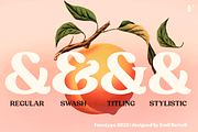 Peach Crush Serif Typeface, a Serif Font by Fenotype (Thumbnail 7 of 16)