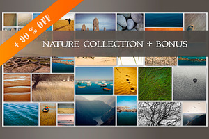 90% Off Collection+Bonus