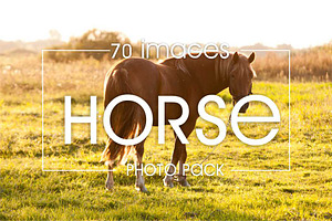 Horse - 70 Images