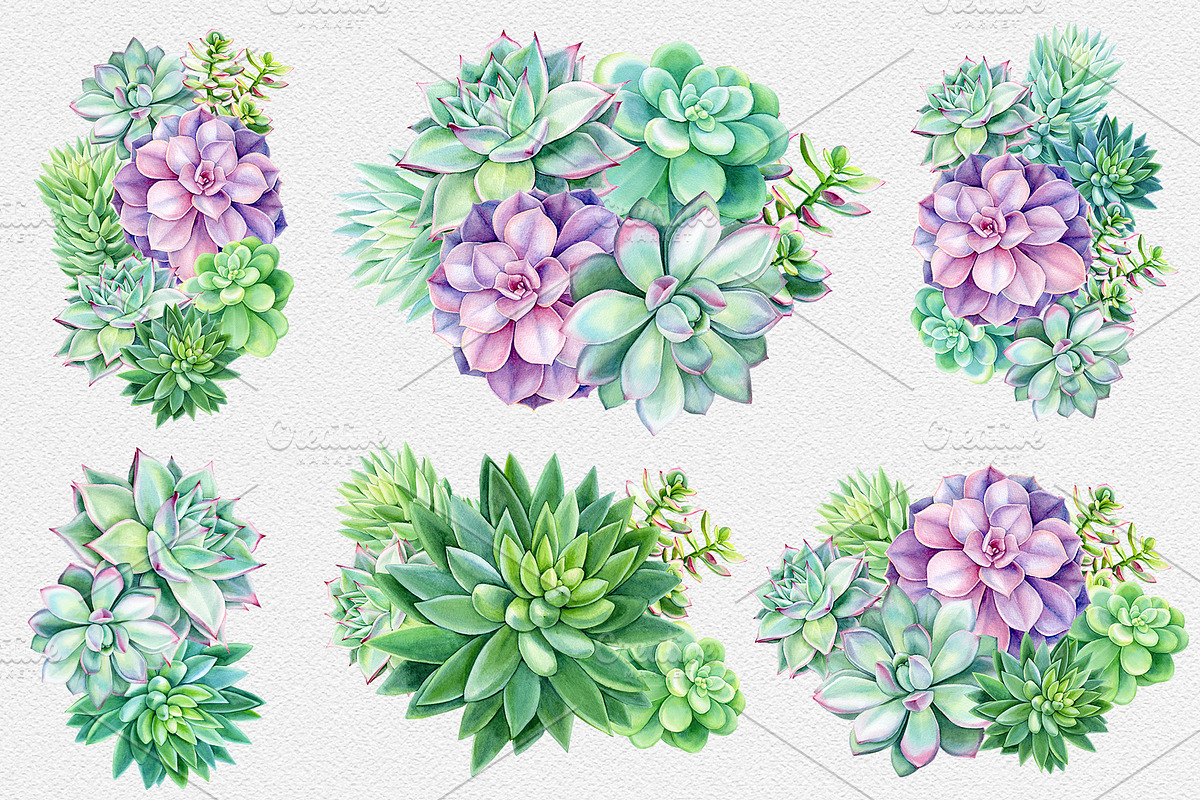 Watercolor Green plants, a Decorative Illustration by Hanna Hryharenka (Photo 4 of 11)