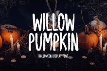 Willow Pumpkin Typeface